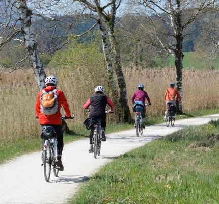 Bicycles